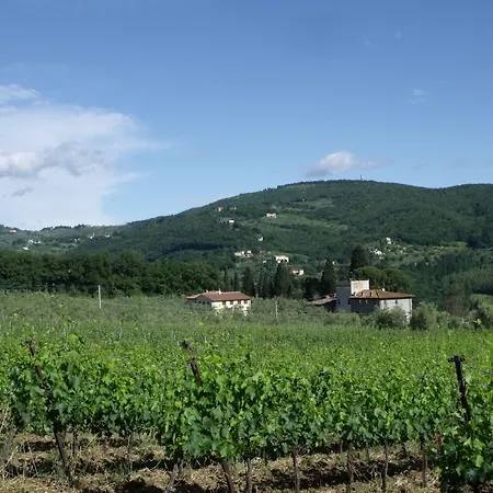 Il Viaio