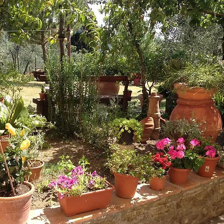 Il Viaio Farm stay *