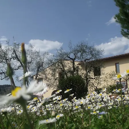 Farm stay Il Viaio