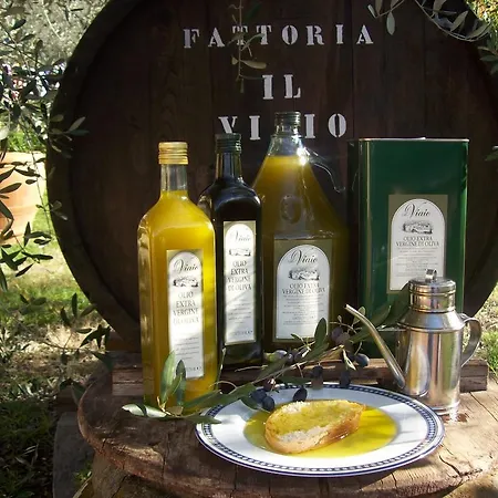 Farm stay Il Viaio Fiesole